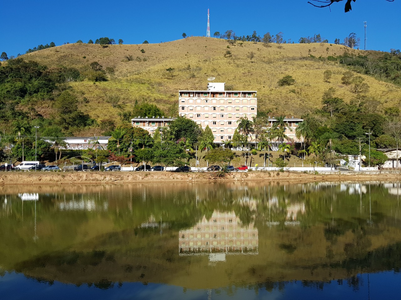 Cavalinho Branco