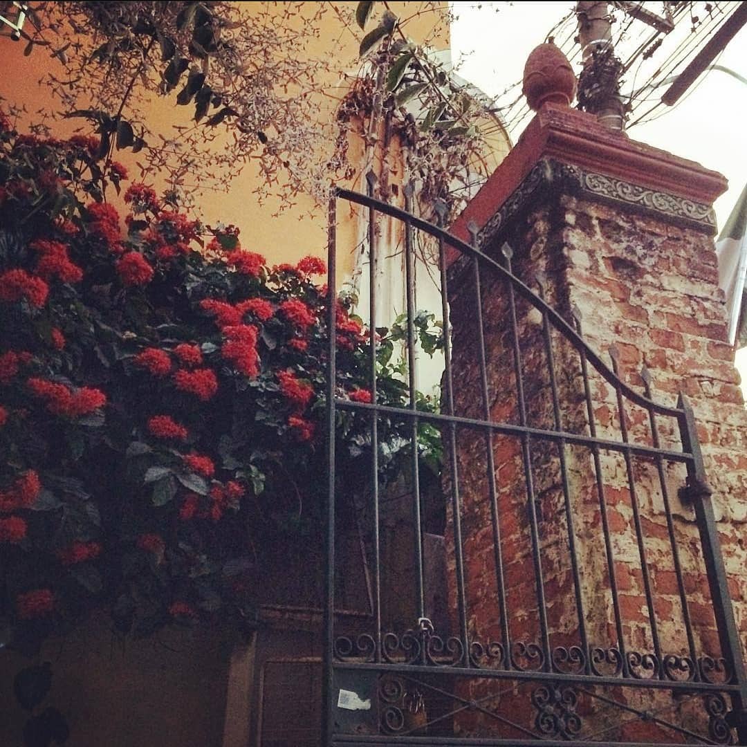 Café da Santa