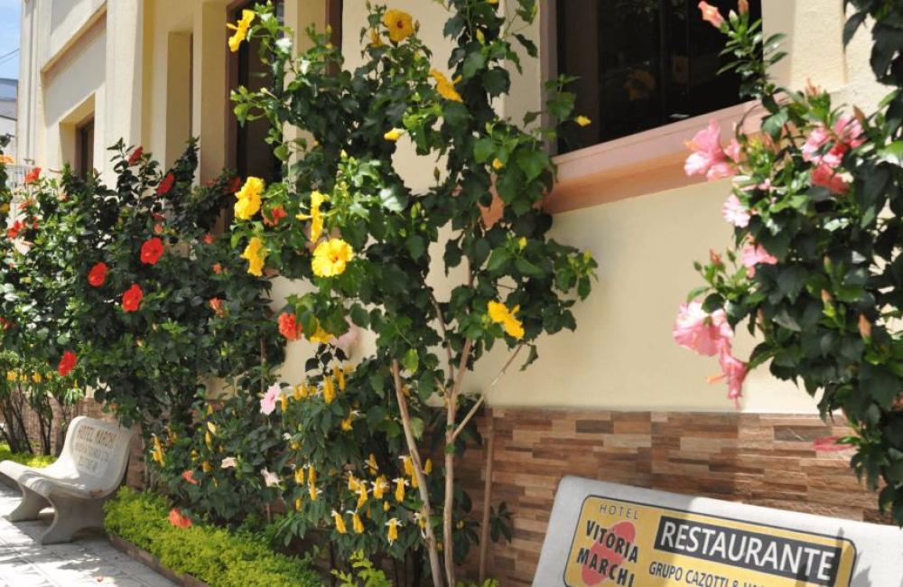 Hotel Vitória Marchi