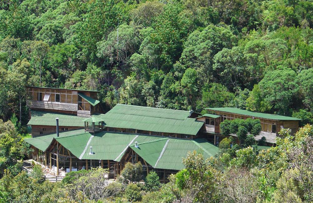Alive Eco Hut Pousada