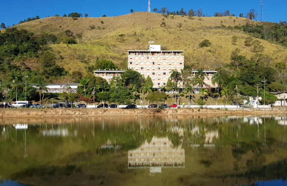 Cavalinho Branco