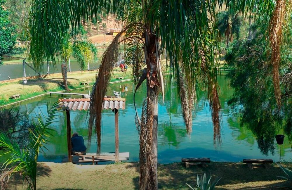 Restaurante Piracatu